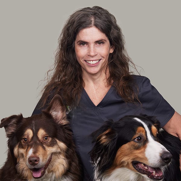 Dr. Jennifer Hess, Long Island Veterinarian